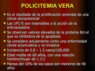 POLICITEMIA VERA Es el resultado de la proliferación anómala de una célula pluripotencial Las UFC-E son insensibles a la acción de la eritropoyetina Se observan valores elevados de la proteína Bcl-xl que es inhibidora de la apoptosis Se considera actualmente como una enfermedad clonal acumulativa y no invasiva Incidencia de 0.8 – 1.5 casos/100,000  Edad media de 60 años, con una relación hombre/mujer de 1.2:1 Menos del 10% de los casos son menores de 40 años 