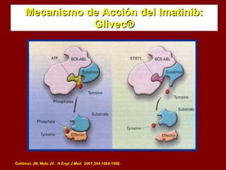 Mecanismo de Acción del Imatinib: Glivec® Goldman JM, Melo JV.  N Engl J Med.   2001;344:1084-1086. 