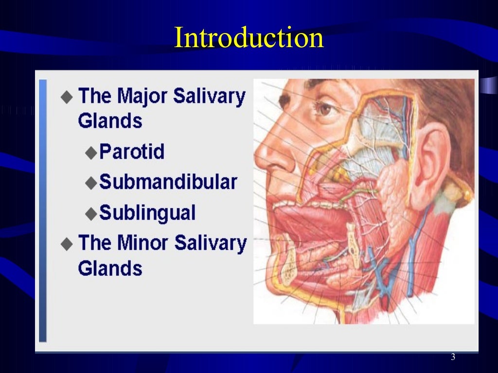 01 Salivary Gland Tumors