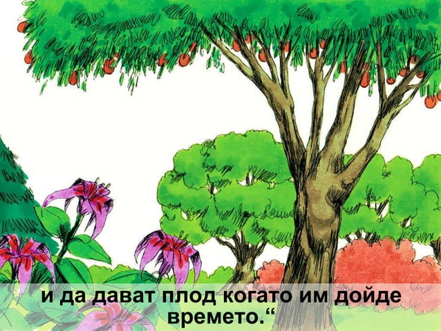 Сътворението на света | PPT