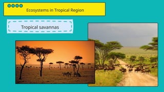 01 Science and the art of of Geography Ecosystems_20240911_055113_0000.pptx