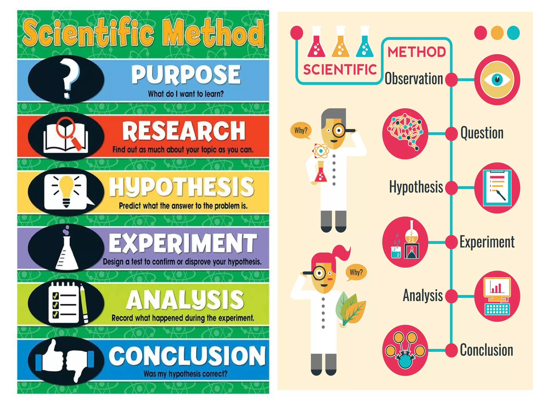 The Scientific Method
 