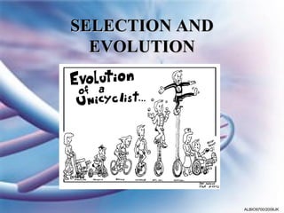 SELECTION AND
  EVOLUTION




                ALBIO9700/2006JK
 