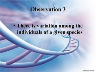 Observation 3

• There is variation among the
  individuals of a given species




                               ALBIO9700/2006JK
 