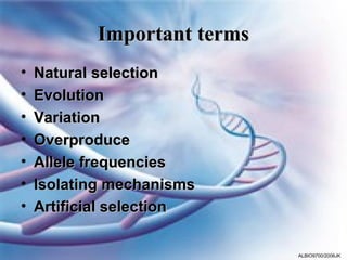 Important terms
•   Natural selection
•   Evolution
•   Variation
•   Overproduce
•   Allele frequencies
•   Isolating mechanisms
•   Artificial selection

                             ALBIO9700/2006JK
 