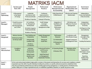 MATRIKS IACM
 