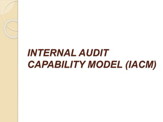 INTERNAL AUDIT
CAPABILITY MODEL (IACM)
 