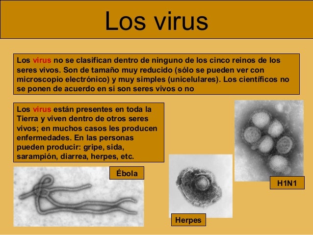 Los seres vivos