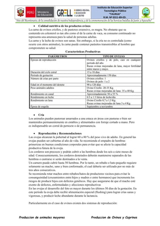 Instituto de Educación Superior
Tecnológico Público
“TAURIJA”
R.M. Nº 0311-89-ED.
“Año del Bicentenario, de la consolidación de nuestra Independencia, y de la conmemoración de las heroicas batallas de Junín y Ayacucho”
Produccion de animales mayores Produccion de Ovinos y Caprinos
• Calidad nutritiva de los productos ovinos
La carne de ovinos criollos, y de pastoreo extensivo, es magra. No obstante que su
contenido en colesterol es tan alto como el de la carne de vaca, su consumo continuado no
representa una amenaza para la salud de personas adultas.
La carne y la leche de ovinos son sanas. Sin embargo, si la cría no es controlada (como
ocurre con otros animales), la carne puede contener parásitos transmisibles al hombre que
comprometen su salud.
Características Productivas
• Cría
Los animales pueden pastorear amarrados a una estaca en áreas con pasturas o bien ser
mantenidos permanentemente en establos y alimentados con forraje cortado a mano. Pero
es indispensable un corral de pernocte o de permanencia.
• Reproducción y Recomendaciones
Las ovejas alcanzan la pubertad al lograr 60 a 80 % del peso vivo de adulto. En general las
ovejas pueden ser cubiertas al año de vida. Se recomienda el empadre de hembras
primerizas en buenas condiciones corporales para evitar que se afecte la capacidad
productiva futura de la oveja.
Los corderos son precoces y podrán cubrir a las hembras desde los seis a siete meses de
edad. Consecuentemente, los corderos destetados deberán mantenerse separados de las
hembras o castrarse si serán destinados a la venta.
Un carnero puede cubrir hasta 50 hembras. Por lo tanto, un rebaño o hato pequeño requiere
solamente un macho, sano y bien conformado, el cual debería ser utilizado por no más de
tres años consecutivos.
Se recomienda rotar machos entre rebaños/hatos de productores vecinos para evitar la
consanguinidad (cruzamientos entre hijos y madres o entre hermanos) que incrementa los
riesgos de producir hijos con defectos genéticos. Hay que asegurarse de que el macho esté
exento de defectos, enfermedades y afecciones reproductivas
En las ovejas el desarrollo del feto es mayor durante los últimos 50 días de la gestación. En
este período la oveja debe recibir alimentación especial (flushing) para lograr crías sanas y
vigorosas, y producir leche abundante durante la lactancia.
Particularmente en el caso de ovinos existen dos sistemas de reproducción:
 
