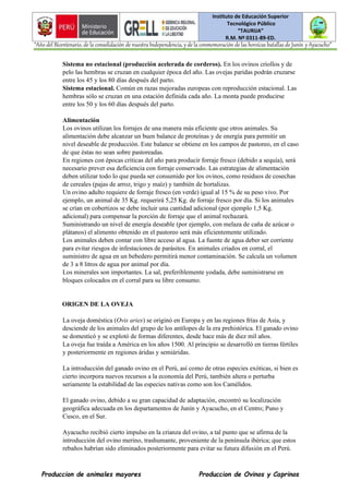 Instituto de Educación Superior
Tecnológico Público
“TAURIJA”
R.M. Nº 0311-89-ED.
“Año del Bicentenario, de la consolidación de nuestra Independencia, y de la conmemoración de las heroicas batallas de Junín y Ayacucho”
Produccion de animales mayores Produccion de Ovinos y Caprinos
Sistema no estacional (producción acelerada de corderos). En los ovinos criollos y de
pelo las hembras se cruzan en cualquier época del año. Las ovejas paridas podrán cruzarse
entre los 45 y los 80 días después del parto.
Sistema estacional. Común en razas mejoradas europeas con reproducción estacional. Las
hembras sólo se cruzan en una estación definida cada año. La monta puede producirse
entre los 50 y los 60 días después del parto.
Alimentación
Los ovinos utilizan los forrajes de una manera más eficiente que otros animales. Su
alimentación debe alcanzar un buen balance de proteínas y de energía para permitir un
nivel deseable de producción. Este balance se obtiene en los campos de pastoreo, en el caso
de que éstas no sean sobre pastoreadas.
En regiones con épocas críticas del año para producir forraje fresco (debido a sequía), será
necesario prever esa deficiencia con forraje conservado. Las estrategias de alimentación
deben utilizar todo lo que pueda ser consumido por los ovinos, como residuos de cosechas
de cereales (pajas de arroz, trigo y maíz) y también de hortalizas.
Un ovino adulto requiere de forraje fresco (en verde) igual al 15 % de su peso vivo. Por
ejemplo, un animal de 35 Kg. requerirá 5,25 Kg. de forraje fresco por día. Si los animales
se crían en cobertizos se debe incluir una cantidad adicional (por ejemplo 1,5 Kg.
adicional) para compensar la porción de forraje que el animal rechazará.
Suministrando un nivel de energía deseable (por ejemplo, con melaza de caña de azúcar o
plátanos) el alimento obtenido en el pastoreo será más eficientemente utilizado.
Los animales deben contar con libre acceso al agua. La fuente de agua deber ser corriente
para evitar riesgos de infestaciones de parásitos. En animales criados en corral, el
suministro de agua en un bebedero permitirá menor contaminación. Se calcula un volumen
de 3 a 8 litros de agua por animal por día.
Los minerales son importantes. La sal, preferiblemente yodada, debe suministrarse en
bloques colocados en el corral para su libre consumo.
ORIGEN DE LA OVEJA
La oveja doméstica (Ovis aries) se originó en Europa y en las regiones frías de Asia, y
desciende de los animales del grupo de los antílopes de la era prehistórica. El ganado ovino
se domesticó y se explotó de formas diferentes, desde hace más de diez mil años.
La oveja fue traída a América en los años 1500. Al principio se desarrolló en tierras fértiles
y posteriormente en regiones áridas y semiáridas.
La introducción del ganado ovino en el Perú, así como de otras especies exóticas, si bien es
cierto incorpora nuevos recursos a la economía del Perú, también altera o perturba
seriamente la estabilidad de las especies nativas como son los Camélidos.
El ganado ovino, debido a su gran capacidad de adaptación, encontró su localización
geográfica adecuada en los departamentos de Junín y Ayacucho, en el Centro; Puno y
Cusco, en el Sur.
Ayacucho recibió cierto impulso en la crianza del ovino, a tal punto que se afirma de la
introducción del ovino merino, trashumante, proveniente de la península ibérica; que estos
rebaños habrían sido eliminados posteriormente para evitar su futura difusión en el Perú.
 