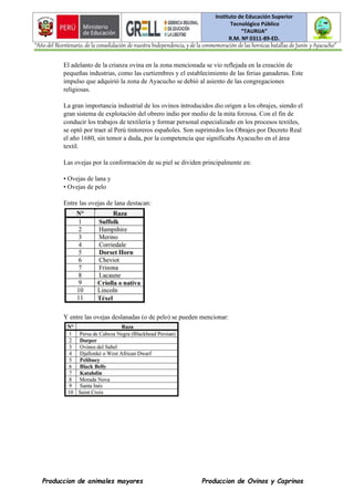 Instituto de Educación Superior
Tecnológico Público
“TAURIJA”
R.M. Nº 0311-89-ED.
“Año del Bicentenario, de la consolidación de nuestra Independencia, y de la conmemoración de las heroicas batallas de Junín y Ayacucho”
Produccion de animales mayores Produccion de Ovinos y Caprinos
El adelanto de la crianza ovina en la zona mencionada se vio reflejada en la creación de
pequeñas industrias, como las curtiembres y el establecimiento de las ferias ganaderas. Este
impulso que adquirió la zona de Ayacucho se debió al asiento de las congregaciones
religiosas.
La gran importancia industrial de los ovinos introducidos dio origen a los obrajes, siendo el
gran sistema de explotación del obrero indio por medio de la mita forzosa. Con el fin de
conducir los trabajos de textilería y formar personal especializado en los procesos textiles,
se optó por traer al Perú tintoreros españoles. Son suprimidos los Obrajes por Decreto Real
el año 1680, sin temor a duda, por la competencia que significaba Ayacucho en el área
textil.
Las ovejas por la conformación de su piel se dividen principalmente en:
• Ovejas de lana y
• Ovejas de pelo
Entre las ovejas de lana destacan:
Y entre las ovejas deslanadas (o de pelo) se pueden mencionar:
 