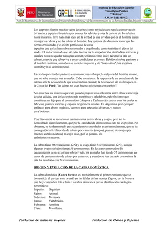 Instituto de Educación Superior
Tecnológico Público
“TAURIJA”
R.M. Nº 0311-89-ED.
“Año del Bicentenario, de la consolidación de nuestra Independencia, y de la conmemoración de las heroicas batallas de Junín y Ayacucho”
Produccion de animales mayores Produccion de Ovinos y Caprinos
Los caprinos fueron muchas veces descritos como perjudiciales para la conservación
del suelo y especies forestales por comer los rebrotes y roer la corteza de los árboles
hasta matarlos. Pero nada más lejos de la verdad es que olvidan que es el hombre quien
maneja las cabras y no las cabras al hombre, hay quienes olvidan mencionar que las
tierras erosionadas y el efecto pernicioso de otras
especies que ya las han sobre pastoreado y esquilmado, como también el efecto del
arado. El indiscriminado uso de estas tierras las ha empobrecido, abriéndose cárcavas y
canales hasta no quedar nada para comer, teniendo como único recurso la cría de
cabras, especie que sobrevive a estas condiciones extremas. Debido al sobre pastoreo y
el hambre continua, sumado a su carácter inquieto y de "buscavidas", los caprinos
contribuyen al deterioro total.
Es cierto que el sobre pastoreo es ruinoso; sin embargo, la culpa es del hombre mismo,
que no sabe manejar sus animales. Cabe mencionar, la respuesta de un estudioso de las
cabras ante la acusación de que éstas habían causado la destrucción de los bosques en
la Costa del Perú: "las cabras no usan hachas ni cocinan con carbón".
Son muchos los insumos que este ganado proporciona al hombre entre ellos; carne roja
de alta calidad, una de las leches más nutritivas y saludables, pelo finísimo que
constituye un lujo para el consumidor (Angora y Cashmere) y cueros con los cuales se
fabrican guantes, carteras y zapatos de primera calidad. En Argentina, por ejemplo:
estiércol para abono orgánico, cuernos para artesanías diversas, y huesos
para botones.
Con frecuencia se mencionan cruzamientos entre cabras y ovejas, pero se ha
demostrado científicamente, que por la cantidad de cromosomas esto no es posible. No
obstante, se ha demostrado en cruzamientos controlados experimentalmente, que se ha
conseguido la fertilización de cabras por carneros (ovejos), pero no de ovejas por
machos cabríos (cabros) en cuyo caso, por lo general, los
embriones se mueren.
La cabra tiene 60 cromosomas (2N) y la oveja tiene 54 cromosomas (2N), aunque
algunas ovejas salvajes tienen 56 cromosomas. En los casos reportados de
cruzamientos cuyas crías han sobrevivido, los animales han tenido 57 cromosomas en
casos de cruzamientos de cabras por carneros, y cuando se han cruzado con ovinos la
cría ha resultado con 54 cromosomas.
ORIGEN Y EVOLUCIÓN DE LA CABRA DOMÉSTICA.
La cabra doméstica (Capra hircus), es probablemente el primer rumiante que se
domesticó; al parecer esto ocurrió en las faldas de los montes Zagros, en la frontera
que hoy comparten Irán e Irak. La cabra doméstica por su clasificación zoológica
pertenece a:
Imperio: Orgánico
Reino: Animal
Subreino: Metazoos
Rama: Vertebrados.
Subrama: Amniota
Clase: Mamíferos.
 