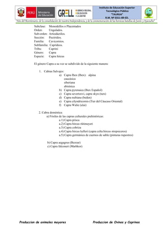 Instituto de Educación Superior
Tecnológico Público
“TAURIJA”
R.M. Nº 0311-89-ED.
“Año del Bicentenario, de la consolidación de nuestra Independencia, y de la conmemoración de las heroicas batallas de Junín y Ayacucho”
Produccion de animales mayores Produccion de Ovinos y Caprinos
Subclase: Monodelfos o Placentados
Orden: Ungulados.
Sub-orden: Artiodáctilos.
Sección: Pecóridos.
Familia: Cavicornios.
Subfamilia: Caprídeos.
Tribu: Caprini
Género: Capra
Especie: Capra hircus
El género Capra a su vez se subdivide de la siguiente manera:
1. Cabras Salvajes:
a) Capra Ibex (Ibex): alpina
caucásica
siberiana
abisínica
b) Capra pyrenaica (Ibex Español)
c) Capra severtzovi, capra skyn (turs)
d) Capra nubiana (beden)
e) Capra cilyndricornis (Tier del Cáucaso Oriental)
f) Capra Walie (ulai)
2. Cabra doméstica:
a) Fósiles de las capras culturales prehistóricas:
a.1) Capra prisca
a.2) Capra hircus rütimeyeri
a.3) Capra cobriza
a.4) Capra hircus kelleri (capra celta hircus strepsiceros)
a.5) Capra germánica de cuernos de sable (pinturas rupestres)
b) Capra aegagrus (Bezoar)
c) Capra falconeri (Marhkor)
 