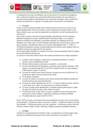 Instituto de Educación Superior
Tecnológico Público
“TAURIJA”
R.M. Nº 0311-89-ED.
“Año del Bicentenario, de la consolidación de nuestra Independencia, y de la conmemoración de las heroicas batallas de Junín y Ayacucho”
Produccion de animales mayores Produccion de Ovinos y Caprinos
La explotación de ovejas está llamada a dar un buen aporte a la economía nicaragüense,
pero se debe tener presente que, para poder obtener buen producto de una empresa, es
necesario poseer amplios conocimientos de él o estar bien asesorado, saber coordinar los
procesos de producción y asegurar el mercado para la colocación de sus productos.
• La carne
En Perú, existe una presión grande sobre la producción de carne de res; la carne ovina
podría perfectamente aliviar esta tensión, ya que, constituiría un sustituto bueno y más
barato, debido a que, sus costos de producción son inferiores a los de la producción de la
carne de res.
Hoy en día, la carne ovina tiene una gran demanda, especialmente entre la numerosa
población extranjera en el país, específicamente la de países árabes, y no se diga la
presencia de fábricas de embutidos, que podrían utilizarla en la preparación de sus
productos, esto indica, que sí existen mercados suficientes para colocar toda la carne ovina
que se produzca. Actualmente quienes la consumen están pagando entre s/. 16.00 y s/.
22.00 aproximadamente; aunque se pueden pagar precios menores, pero tampoco existe en
el ámbito nacional una regulación de estos precios.
Por los datos arriba señalados el consumo de la carne ovina ha aumentado desde los finales
de los años 80 hasta nuestros días.
La carne de ovinos tiene sobre la de las otras especies domésticas las ventajas siguientes:
a) Contiene menos cartílagos y aponeurosis y da proporcionalmente a la de los
bovinos, mayor rendimiento en canal.
b) Permite efectuar mejores cortes para su expendio y conservación.
c) El costo de producción del kilogramo es más bajo, pues requiere solamente 5.500
calorías, con piensos hasta del 7 % de FB (a excepción de las aves que requieren
5.000 calorías y hasta 3 % de FB).
d) La carne de cordero ofrece mayor ternura y suculencia con un excelente olor. La
suculencia se debe a la mayor presencia de oleína.
e) Es de rápido cocimiento.
f) La carne de cordero se considera como menos causante del debatido problema de
la arteriosclerosis por causa del colesterol.
g) La carne de cordero obtenida entre los 2.5 y 3.5 meses resulta más tierna, nutritiva
y de un buen olor y sabor, con escasa grasa y de mucha suculencia.
h) La carne se puede guisar rápidamente y se pueden preparar platos típicos a partir
de asado de cordero, que hace sobre valorar esta carne.
i) El color de la carne es rojo claro, ni oscuro, ni pálido; el color de la grasa de la
carne de los ovinos es blanco y apetecible, además de consistencia blanda.
j) El rendimiento de la canal es del 45 al 50 %.
Porras (1979), cita que, como países mayores consumidores de carne ovina, se encuentran:
Nueva Zelanda – 82 libras por cabeza y por año; Australia – 70 libras por cabeza y por año;
Gran Bretaña – 28 libras por cabeza y por año; Argentina – 20 libras por cabeza y por año;
Francia, Canadá, Estados Unidos, Alemania y Bélgica consumen cantidades inferiores.
• La leche
En Perú no existe producción de leche de ovejas, su explotación es un buen negocio para
utilizarla en la fabricación de quesos finos como el pecorino o la mozarela. En la
 