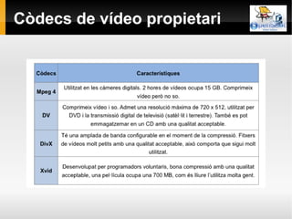 Còdecs de vídeo propietari
 