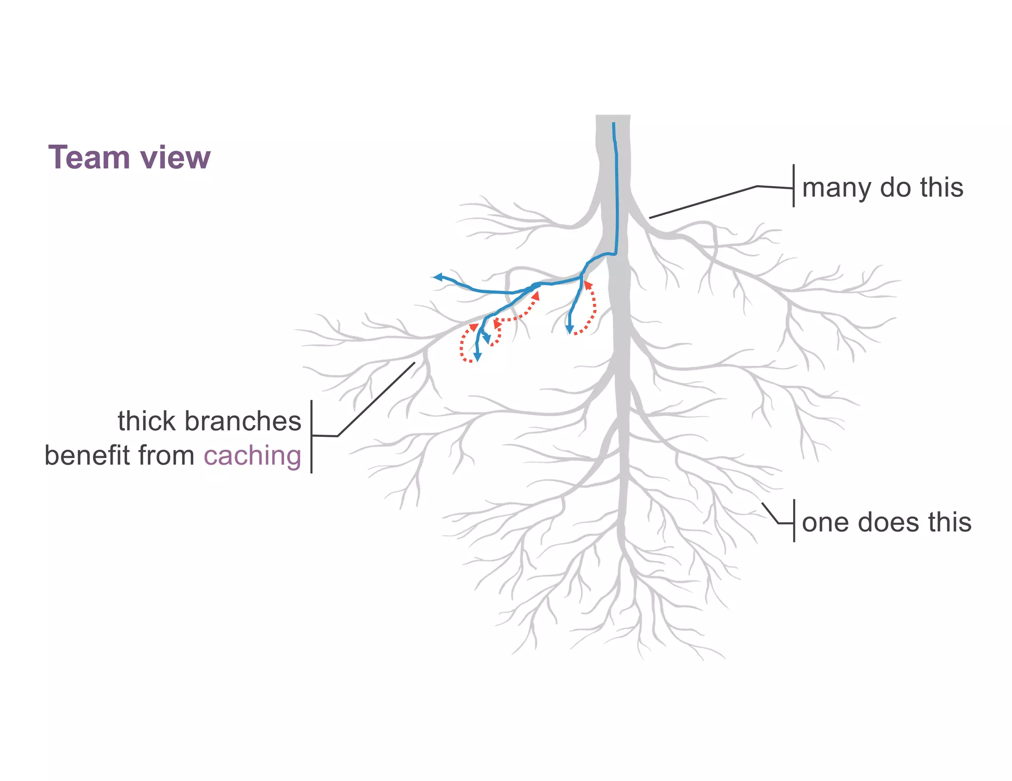 many do this
one does this
thick branches
benefit from caching
Team view
 