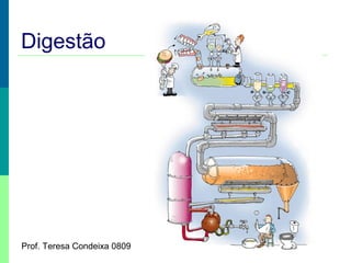 Digestão

Prof. Teresa Condeixa 0809

 