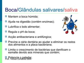 Boca/Glândulas salivares/saliva


Mantem a boca húmida;



Ajuda na digestão (contém enzimas);



Lubrifica o bolo alimentar;



Regula o pH da boca;



Acção antibacteriana e antifúngica;



Previne a cárie dentária ao ajudar a eliminar os restos
dos alimentos e a placa bacteriana;



Limita o crescimento de bactérias que danificam o
esmalte devido aos minerais que contém;

 Potencia o paladar.
Prof. Teresa Condeixa 0809

 