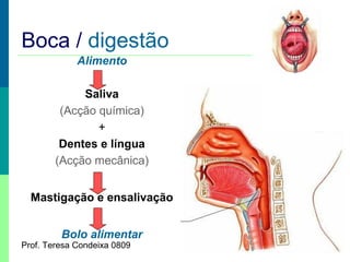 Boca / digestão
Alimento
Saliva
(Acção química)
+
Dentes e língua
(Acção mecânica)
Mastigação e ensalivação
Bolo alimentar

Prof. Teresa Condeixa 0809

 