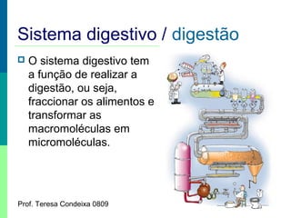 Sistema digestivo / digestão


O sistema digestivo tem
a função de realizar a
digestão, ou seja,
fraccionar os alimentos e
transformar as
macromoléculas em
micromoléculas.

Prof. Teresa Condeixa 0809

 