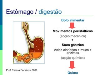 Estômago / digestão
Bolo alimentar
Movimentos peristálticos
(acção mecânica)
+
Suco gástrico
Ácido clorídrico + muco +
enzimas
(acção química)

Prof. Teresa Condeixa 0809

Quimo

 
