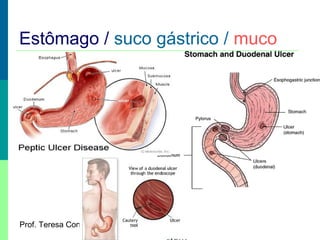 Estômago / suco gástrico / muco

Prof. Teresa Condeixa 0809

 