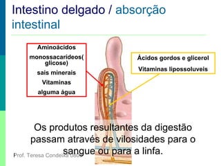 Intestino delgado / absorção
Absorção Intestinal
intestinal
Aminoácidos
monossacarídeos(
glicose)
sais minerais

Ácidos gordos e glicerol
Vitaminas lipossoluveis

Vitaminas
alguma água

Os produtos resultantes da digestão
passam através de vilosidades para o
sangue ou para a linfa.
Prof. Teresa Condeixa 0809

 