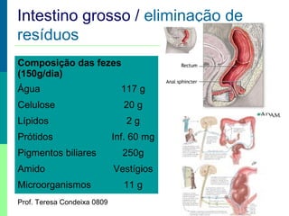 Intestino grosso / eliminação de
resíduos
Composição das fezes
(150g/dia)
Água

117 g

Celulose

20 g

Lípidos

2g

Prótidos

Inf. 60 mg

Pigmentos biliares
Amido
Microorganismos
Prof. Teresa Condeixa 0809

250g
Vestígios
11 g

 