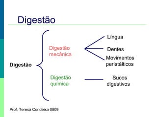 Digestão
Língua
Digestão
mecânica
Digestão
Digestão
química

Prof. Teresa Condeixa 0809

Dentes
Movimentos
peristálticos
Sucos
digestivos

 