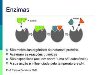 Enzimas






São moléculas orgânicas de natureza proteica.
Aceleram as reacções químicas
São específicas (actuam sobre “uma só” substância)
A sua acção é influenciada pela temperatura e pH.

Prof. Teresa Condeixa 0809

 