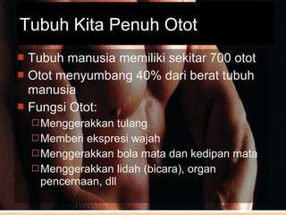  Tubuh manusia memiliki sekitar 700 otot
 Otot menyumbang 40% dari berat tubuh
manusia
 Fungsi Otot:
Menggerakkan tulang
Memberi ekspresi wajah
Menggerakkan bola mata dan kedipan mata
Menggerakkan lidah (bicara), organ
pencernaan, dll
Tubuh Kita Penuh Otot
 