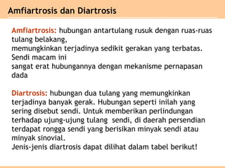 Amfiartrosis: hubungan antartulang rusuk dengan ruas-ruas
tulang belakang,
memungkinkan terjadinya sedikit gerakan yang terbatas.
Sendi macam ini
sangat erat hubungannya dengan mekanisme pernapasan
dada
Diartrosis: hubungan dua tulang yang memungkinkan
terjadinya banyak gerak. Hubungan seperti inilah yang
sering disebut sendi. Untuk memberikan perlindungan
terhadap ujung-ujung tulang sendi, di daerah persendian
terdapat rongga sendi yang berisikan minyak sendi atau
minyak sinovial.
Jenis-jenis diartrosis dapat dilihat dalam tabel berikut!
Amfiartrosis dan Diartrosis
 