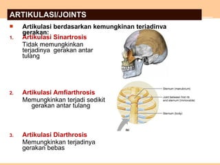 1. Artikulasi Sinartrosis
Tidak memungkinkan
terjadinya gerakan antar
tulang
2. Artikulasi Amfiarthrosis
Memungkinkan terjadi sedikit
gerakan antar tulang
3. Artikulasi Diarthrosis
Memungkinkan terjadinya
gerakan bebas
 Artikulasi berdasarkan kemungkinan terjadinya
gerakan:
ARTIKULASI/JOINTS
 