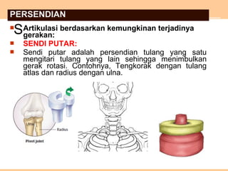  Artikulasi berdasarkan kemungkinan terjadinya
gerakan:
 SENDI PUTAR:
 Sendi putar adalah persendian tulang yang satu
mengitari tulang yang lain sehingga menimbulkan
gerak rotasi. Contohnya, Tengkorak dengan tulang
atlas dan radius dengan ulna.
S
PERSENDIAN
 