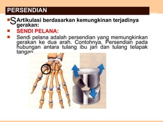  Artikulasi berdasarkan kemungkinan terjadinya
gerakan:
 SENDI PELANA:
 Sendi pelana adalah persendian yang memungkinkan
gerakan ke dua arah. Contohnya, Persendian pada
hubungan antara tulang ibu jari dan tulang telapak
tangan.
S
PERSENDIAN
 
