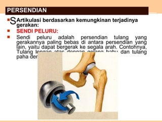  Artikulasi berdasarkan kemungkinan terjadinya
gerakan:
 SENDI PELURU:
 Sendi peluru adalah persendian tulang yang
gerakannya paling bebas di antara persendian yang
lain, yaitu dapat bergerak ke segala arah. Contohnya,
Tulang lengan atas dengan gelang bahu dan tulang
paha dengan gelang panggul.
S
PERSENDIAN
 