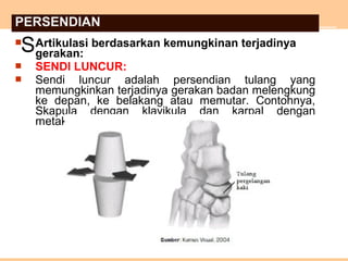  Artikulasi berdasarkan kemungkinan terjadinya
gerakan:
 SENDI LUNCUR:
 Sendi luncur adalah persendian tulang yang
memungkinkan terjadinya gerakan badan melengkung
ke depan, ke belakang atau memutar. Contohnya,
Skapula dengan klavikula dan karpal dengan
metakarpal.
S
PERSENDIAN
 