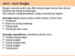 Kerangka Aksial (poros utama sumbu tubuh), terdiri atas:
 Tengkorak
 Ruas-ruas tulang belakang
 Tulang dada
 Tulang iga atau rusuk
Kerangka Apendikuler (tambahan),terdiri atas:
 Tulang-tulang lengan
 Tulang tungkai
 Tulang telapak kaki
 Tulang pinggul
 Tulang bahu
Jenis –Jenis Rangka
Rangka manusia terdiri atas 206 tulang dengan bentuk dan ukuran
berbeda dan saling berhubungan.
Ahli anatomi mengelompokkan rangka menjadi dua bagian:
 