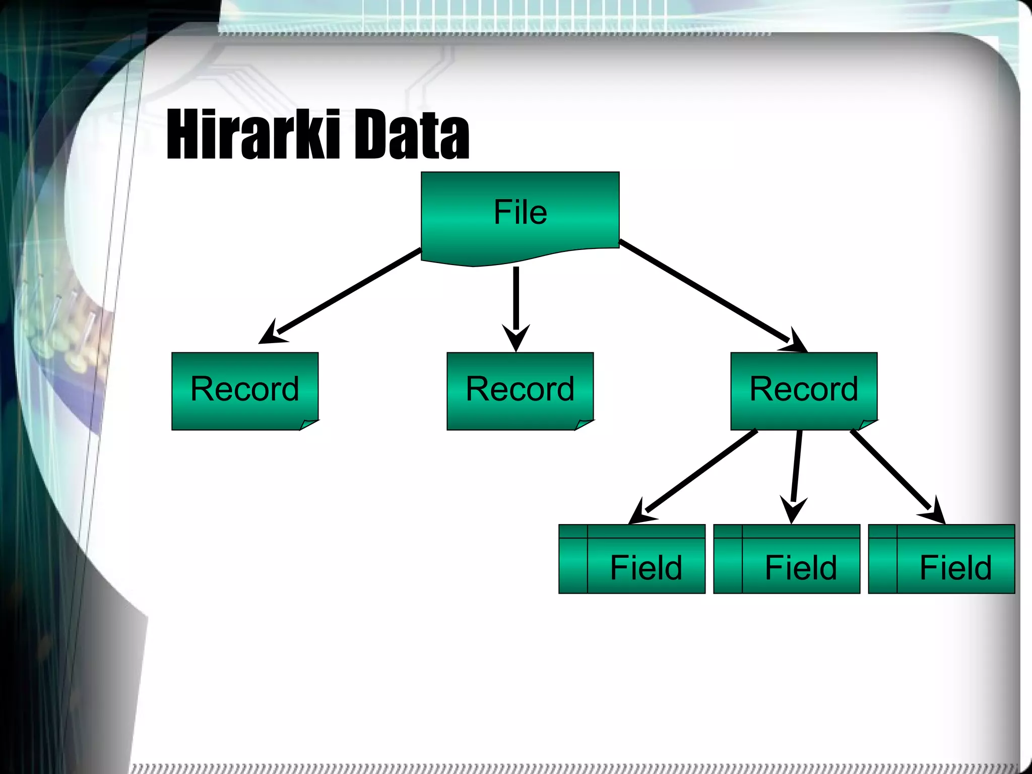 Hirarki Data File Record Record Record Field Field Field 