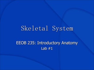 Skeletal System EEOB 235: Introductory Anatomy Lab #1 