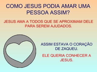 COMO JESUS PODIA AMAR UMA
PESSOA ASSIM?
JESUS AMA A TODOS QUE SE APROXIMAM DELE
PARA SEREM AJUDADOS.
ASSIM ESTAVA O CORAÇÃO
DE ZAQUEU.
ELE QUERIA CONHECER A
JESUS.
 