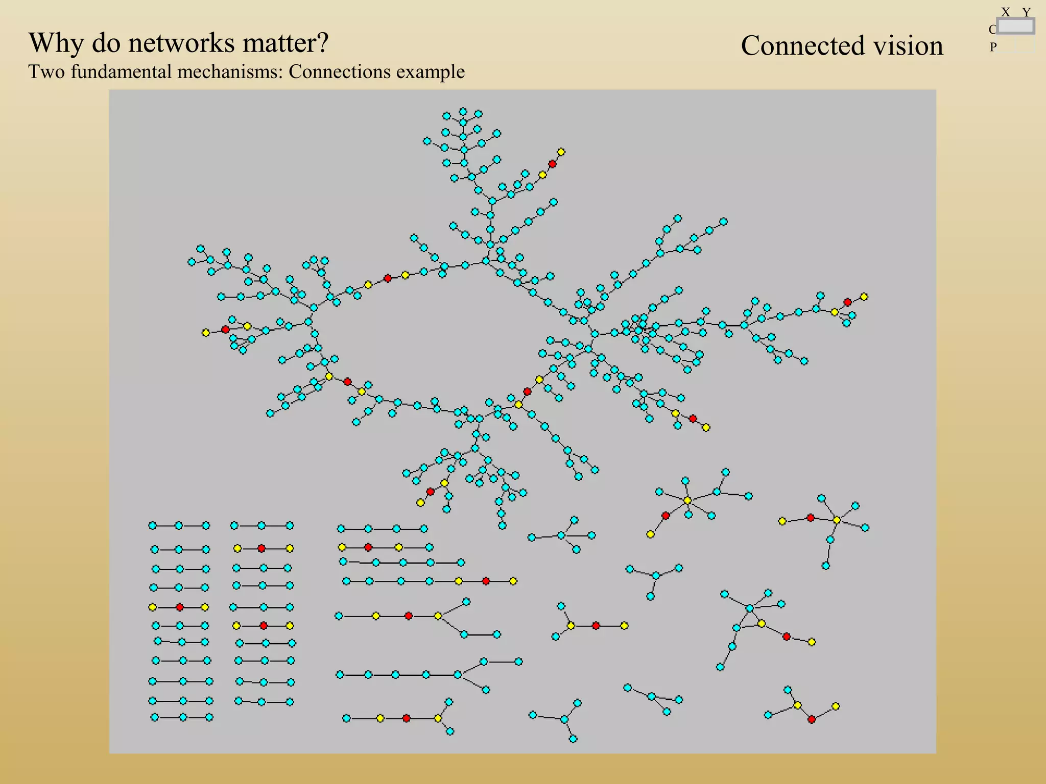 Connected visionWhy do networks matter?Why do networks matter?
Two fundamental mechanisms: Connections example
C
P
X Y
 
