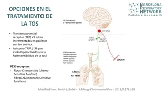 Modified from: Smith J, Badri H. J Allergy Clin Immunol Pract. 2019;7:1731-38
OPCIONES EN EL
TRATAMIENTO DE
LA TOS
Classical antitussive drugs:
Amitriptyline
Gabapentin-pregabalin
Low dose
morphine sulphate
• Transient potencial
receptor (TRP) V1 están
incrementados en paciente
con tos crònica.
• Asi como TRPA1 ( R que
están hiperactivados en la
hipersensibilidad de la tos)
P2X3 receptors:
- fibras-C sensoriales (chemo
Sensitive function)
- Fibras Aձ (mechano Sensitive
function)
 