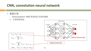 CNN, convolution neural network
• 權重計算
- Backpropagation: 傳遞 預測誤差 來更新權重
1. 計算預測誤差
14
Backprop output layer
 