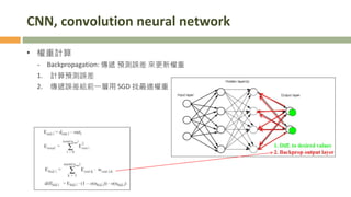 CNN, convolution neural network
• 權重計算
- Backpropagation: 傳遞 預測誤差 來更新權重
1. 計算預測誤差
2. 傳遞誤差給前一層用 SGD 找最適權重
 