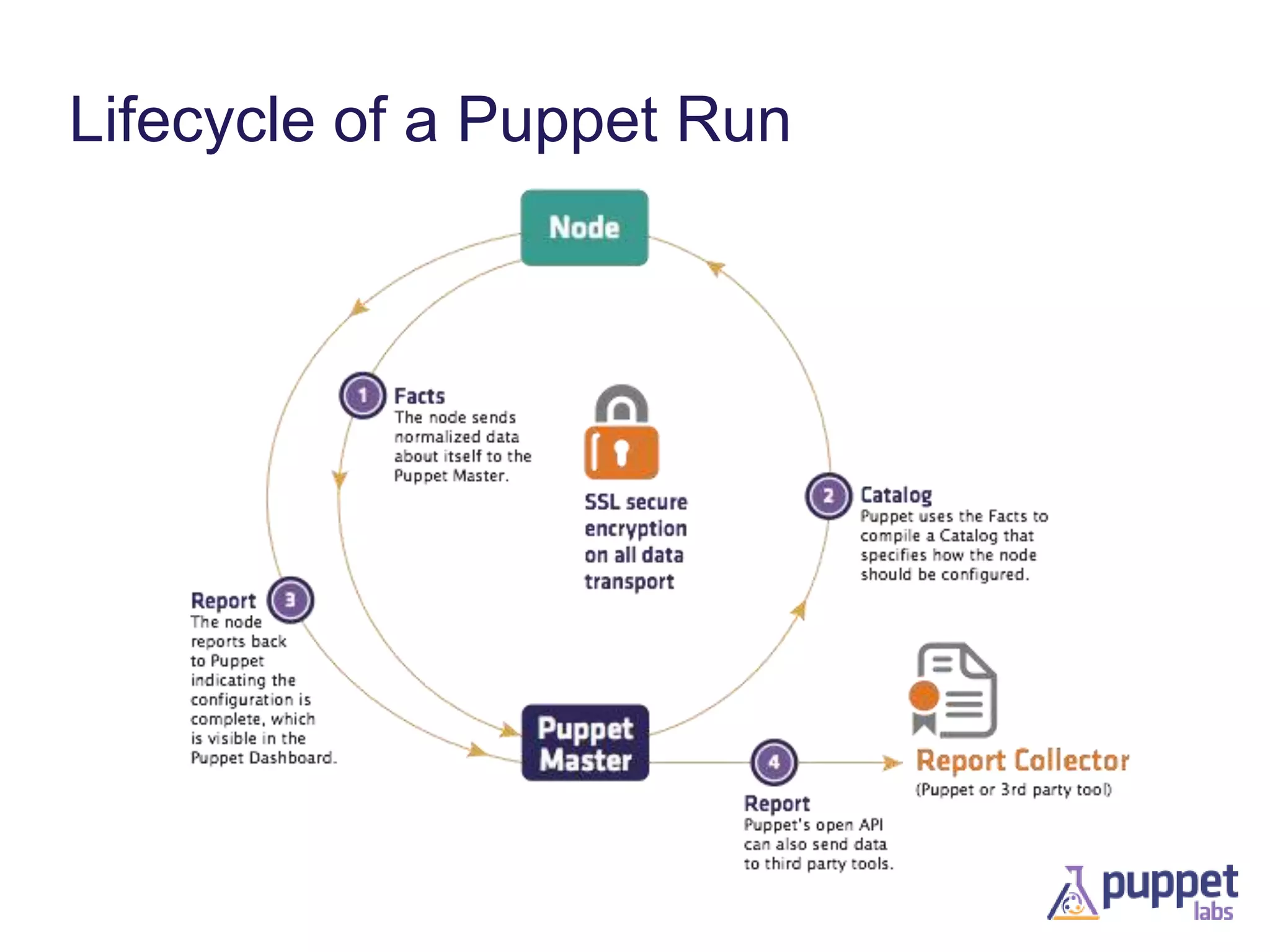 Lifecycle of a Puppet Run

 