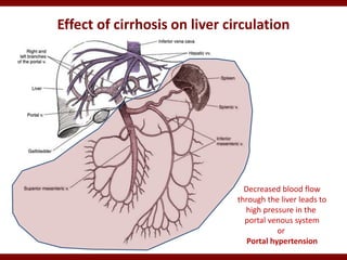 01_Structure_and_functions_of_liver.ppt