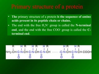 Structure, properties and biological functions of proteins ppt | PPT