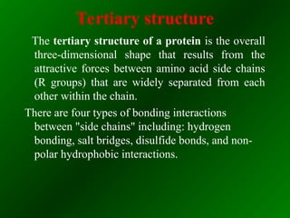Structure, properties and biological functions of proteins ppt | PPT