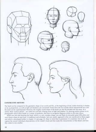 study drawing drawing portraits faces and figures